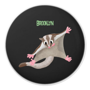 Bouton De Porte En Céramique Caricature de planeur de sucre joyeux