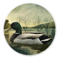 Carte postale Patinée vintage Mallard Duck