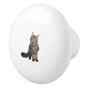 Bouton De Porte En Céramique Cat