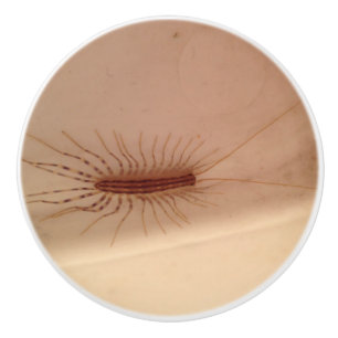 Bouton De Porte En Céramique Centipède de Chambre