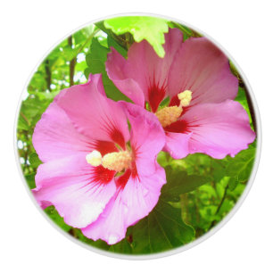 Bouton De Porte En Céramique Ceramic Knob en Hibiscus rose
