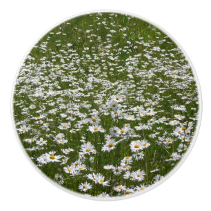 Bouton De Porte En Céramique Champ de pâquerettes Fleurs sauvages d'Alaska