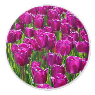 Bouton De Porte En Céramique Champ de tulipes pourpres