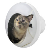 Bouton De Porte En Céramique Chat (Droite)