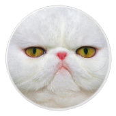 Bouton De Porte En Céramique Chat blanc (Devant)
