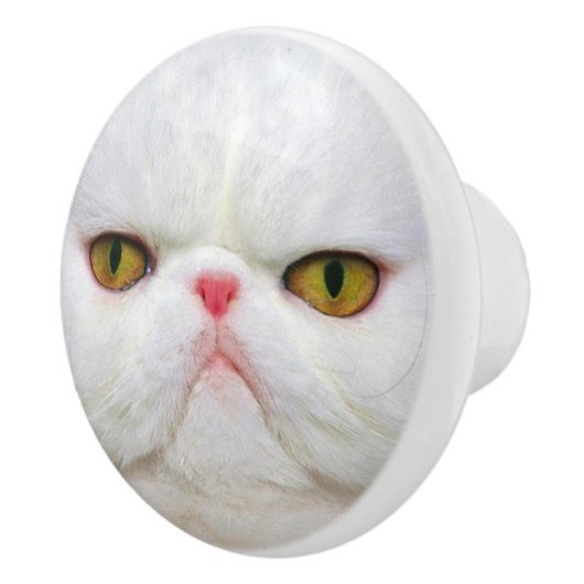 Bouton De Porte En Céramique Chat blanc (Droite)