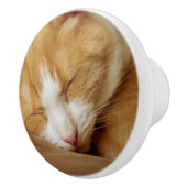 Bouton De Porte En Céramique Chaton couchant (Droite)