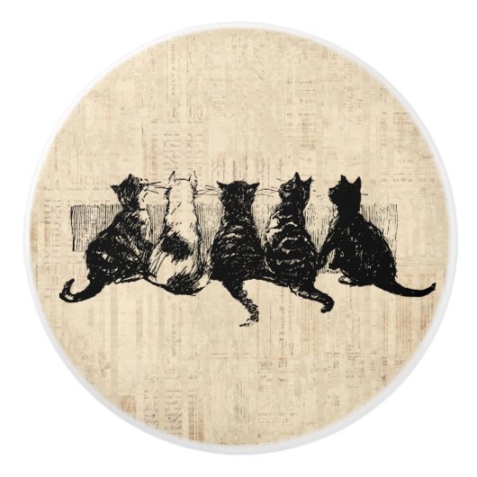 Bouton De Porte En Céramique Chatons illustrés avec Arrière - plan de script de (Devant)