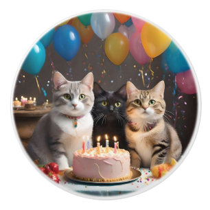 Bouton De Porte En Céramique Chats d'anniversaire,