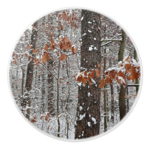 Bouton De Porte En Céramique Chênes couverts de neige hiver Photographie de la