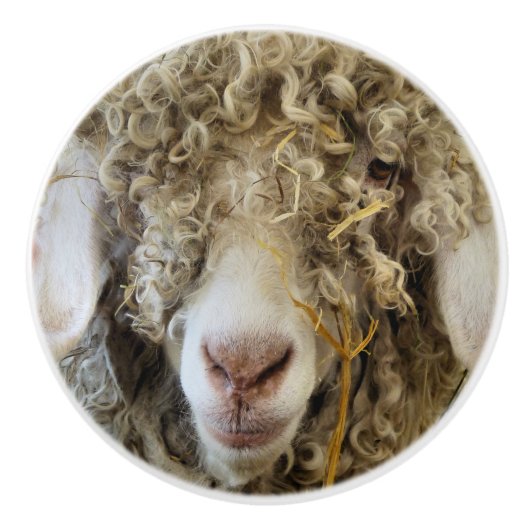 BOUTON DE PORTE EN CÉRAMIQUE CHÈQUE CUTE (Devant)