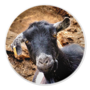 BOUTON DE PORTE EN CÉRAMIQUE CHÈTES