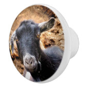 BOUTON DE PORTE EN CÉRAMIQUE CHÈTES (Droite)