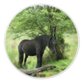 BOUTON DE PORTE EN CÉRAMIQUE CHEVAL NOIR (Devant)