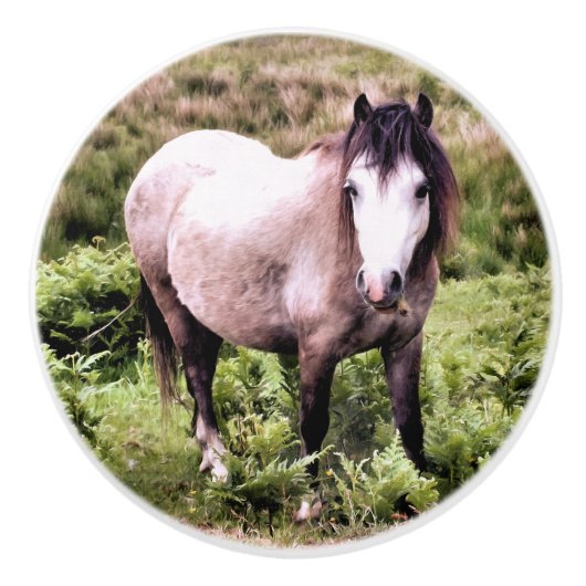 BOUTON DE PORTE EN CÉRAMIQUE CHEVAUX (Devant)