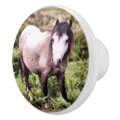 BOUTON DE PORTE EN CÉRAMIQUE CHEVAUX (Droite)