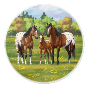 Bouton De Porte En Céramique Chevaux Appaloosa De Baie Brown En Pâturage D'Été