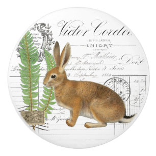 Bouton De Porte En Céramique Chic Vintage Rabbit Fern French Script Knob