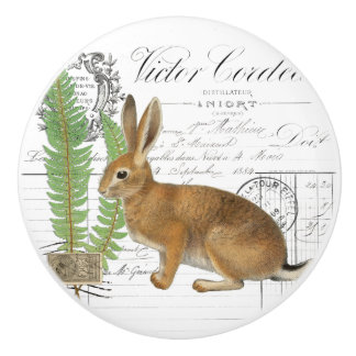 Bouton De Porte En Céramique Chic Vintage Rabbit Fern French Script Knob