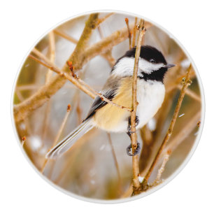 Bouton De Porte En Céramique Chickadee au plafond noir - Photo originale