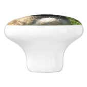 Bouton De Porte En Céramique Chien de Pitbull (Côté)