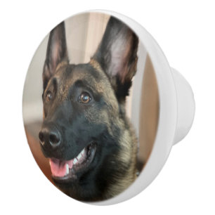 Bouton De Porte En Céramique Chien malinois