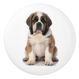 Bouton De Porte En Céramique Chien St-Bernard