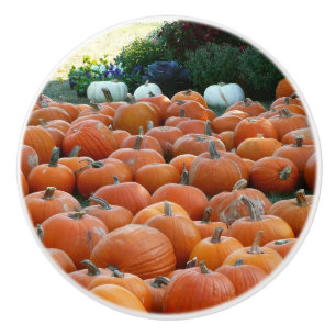 Bouton De Porte En Céramique Citrouilles et Chrysanthèmes Photographie de la ré