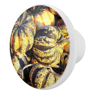 Bouton De Porte En Céramique Citrouilles rayées de près
