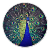 Bouton De Porte En Céramique Cobalt Blue Peacock (Devant)