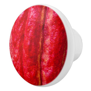 Bouton De Porte En Céramique cocod