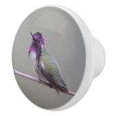 Bouton De Porte En Céramique Colibri de Costa (Droite)