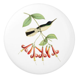 Bouton De Porte En Céramique Colibri féerique couronné par pourpre