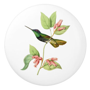 Bouton De Porte En Céramique Colibri magnifique
