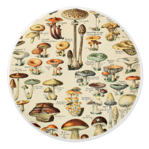 Bouton De Porte En Céramique Collection de champignons
