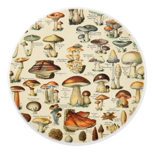 Bouton De Porte En Céramique Collection de champignons (Devant)
