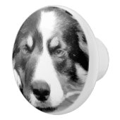 BOUTON DE PORTE EN CÉRAMIQUE COLLIE FRONTALIÈRE (Droite)