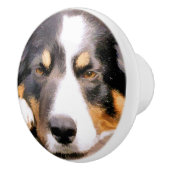 BOUTON DE PORTE EN CÉRAMIQUE COLLIE FRONTALIÈRE (Droite)