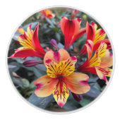 Bouton De Porte En Céramique Colors de Summer (Devant)