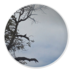 BOUTON DE PORTE EN CÉRAMIQUE CONCEPTION DE STYLE CÉRAMIQUE DE PORTE