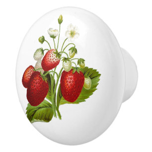 Bouton De Porte En Céramique Conception rouge mignonne de fraise