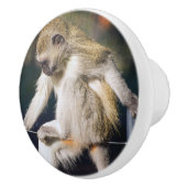 Bouton De Porte En Céramique Contempler le singe (Droite)