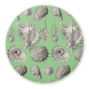 Bouton De Porte En Céramique Coquillages Coquilles de mer nautiques Vert menthe