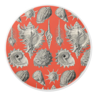 Bouton De Porte En Céramique Coquillages Plage Nautique Coques Blanches