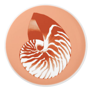 Bouton De Porte En Céramique Coquille de Nautilus - terre cuite et blanc