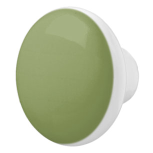 Bouton De Porte En Céramique Couleur solide verte de mousse