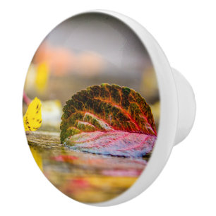 Bouton De Porte En Céramique Couleurs d'automne