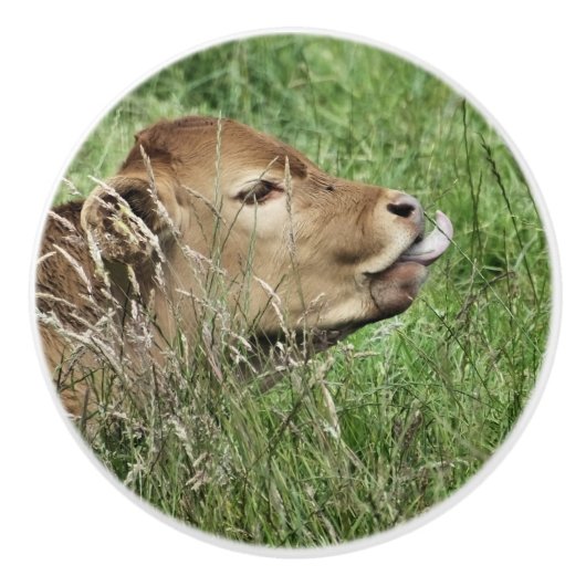 Bouton De Porte En Céramique COW Cute (Devant)