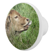 Bouton De Porte En Céramique COW Cute (Droite)