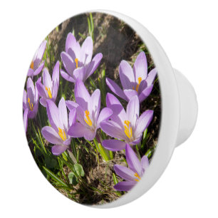 Bouton De Porte En Céramique Crocus de printemps mignons